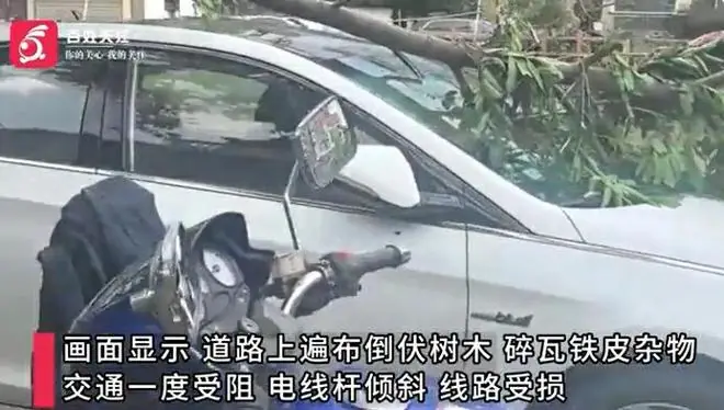 龙卷风过后的居民区，屋顶缺失严重